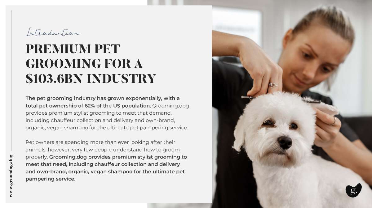Grooming.Dog - Pitch deck Introduction - Robot Mascot